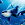 The Killer Whale