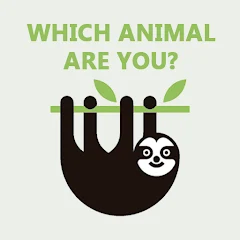 Which animal are you? Quiz – Apps on Google Play