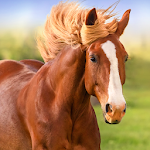 Cover Image of Download The Horse  APK