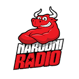 Narodni radio icon