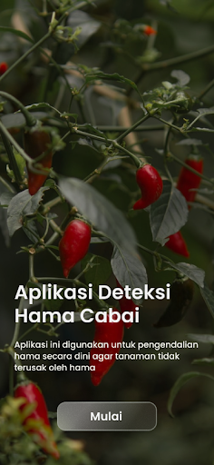 Android application Cipede screenshort