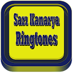 Sari Kanarya Marches Apk