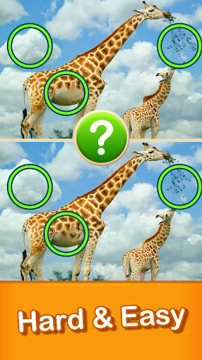 Find The Difference Journey