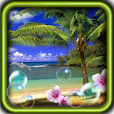 Palms Tropical Islands LWP icon