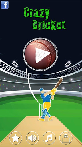 Android application Crazy Cricket screenshort