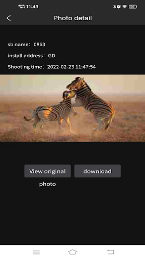 Trail Cam_4G Screen 3