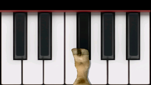 Cow Piano Screen 2