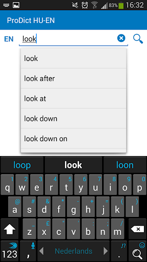Hungarian English dictionary Screenshot