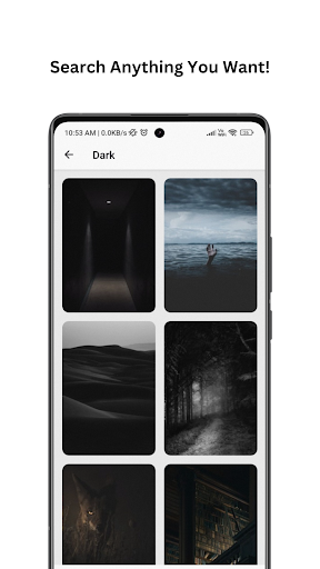 Wallprix - Daily 8K Wallpapers Screenshot 2 - AppWisp.com
