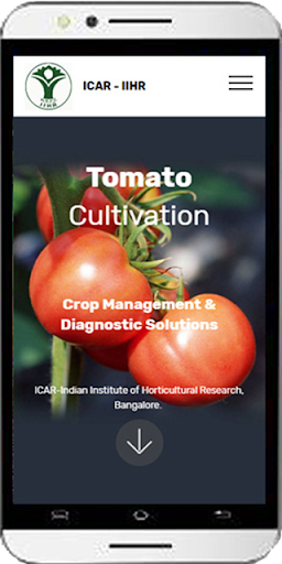 Android application Tomato Cultivation IIHR screenshort