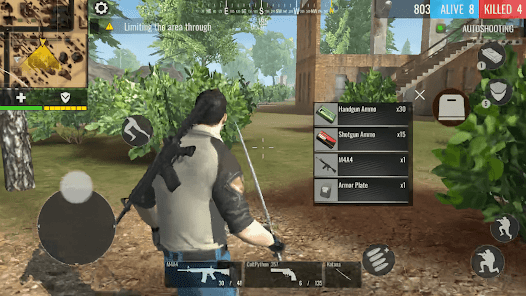 Screenshot image