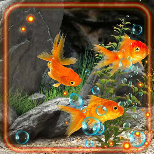 Gold Fishes HD Live Wallpaper  Icon