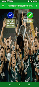 Palmeiras Papel de Parede
