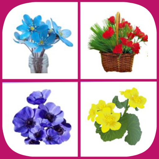 Picture Match: Flower Match logo