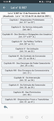 Concessões 2024 - Lei nº 8.987 Screen 2