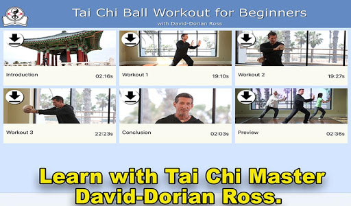 Tai Chi Ball Beginner Unknown