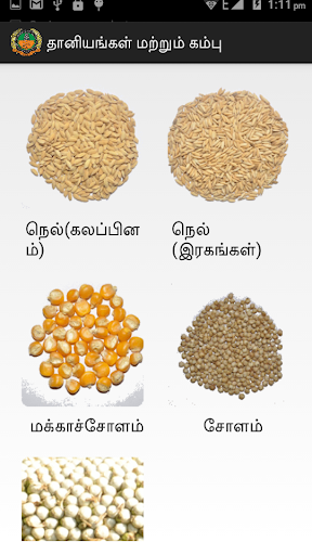 Cereals Millets Tamil Screen 2