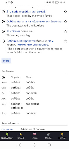 OpenRussian Russian Dictionary Screen 3