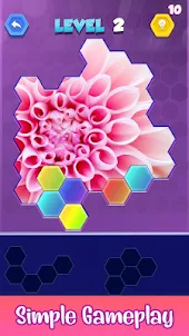 Jigsaw Hexa Puzzle Block Game