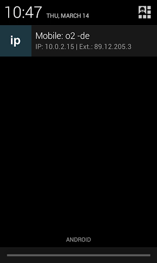 Screenshot of IP Widget
