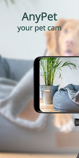 Android application AnyPet Monitor - Cat & Dog Cam screenshort