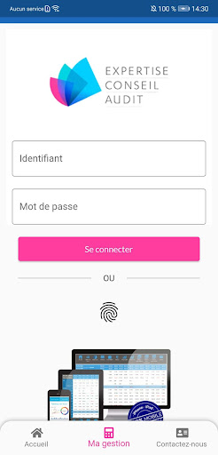 Expertise Conseil Audit Screen 2