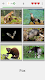 screenshot of Animals Quiz Learn All Mammals