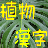 難読漢字クイズ（果物・植物の漢字） icon