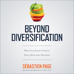 Icon image Beyond Diversification: What Every Investor Needs to Know About Asset Allocation