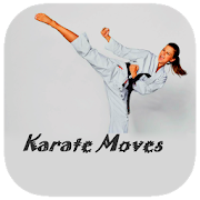 Karate Moves Guide