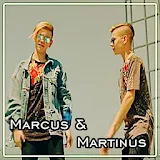 Marcus & Martinus - Like It Like It icon