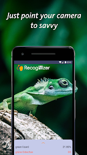 Visualização do aplicativo