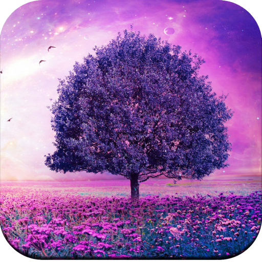 Beautiful Wallpapers 4K logo