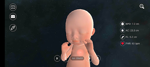 Android application VR Fetus Home Player screenshort