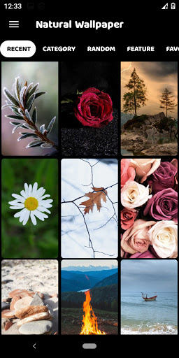 Android application 10000 Nature HD Wallpapers screenshort