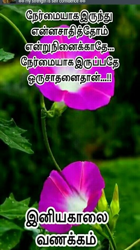 Android application Tamil Morning Quotes screenshort