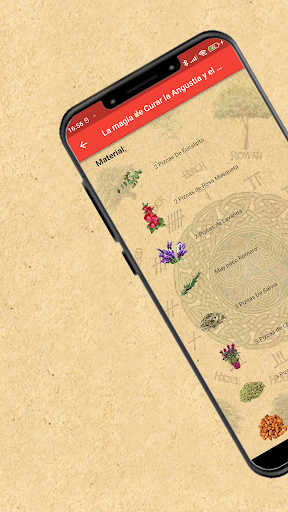 Vista previa de la aplicación