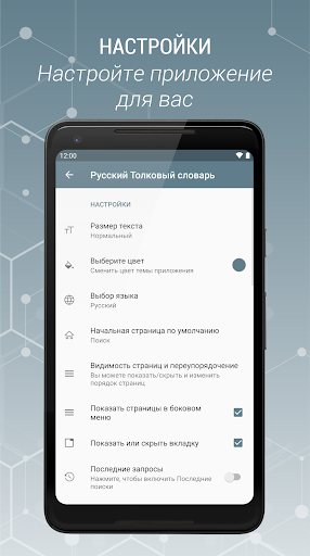 Russian Explanatory Dictionary screenshot 7