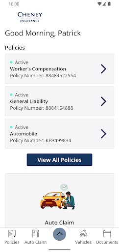Cheney Insurance Online Screen 2