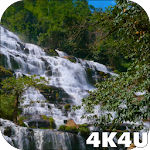 Cover Image of Tải xuống 4K Waterfall Video Live Wallpa  APK