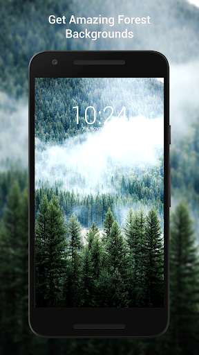 ? Beautiful Forest Wallpaper HD ?