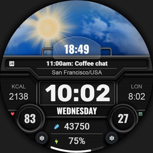 WFP 211 Weather animated watch Logo