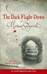 Icon image The Dark Flight Down