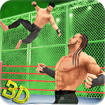 Cover Image of Download Tag Team Wrestling Fight Stars  APK