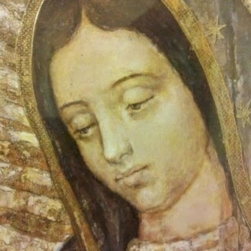 Imagenes de la Virgen de Guada