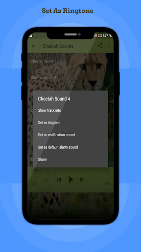 Cheetah Sounds Screen 3