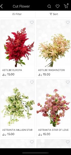 Bonsai Flower Bouquet Screen 3