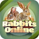 Rabbit Forum icon