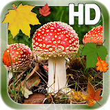 Autumn Leaves Mushroom LWP icon