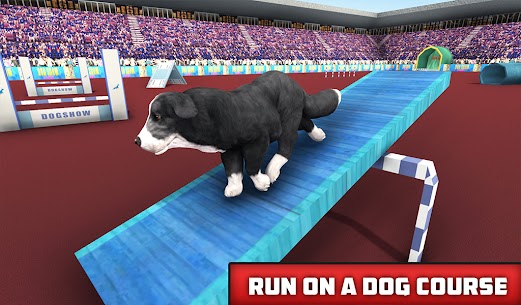 كلب تمرين ألعاب، كلب القفز 3D 7